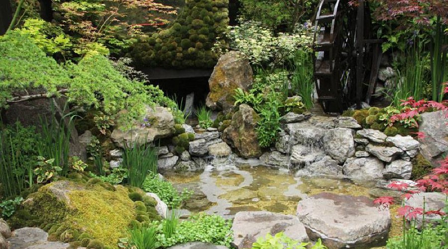 KUROWSCY dekoratyvinių medžių ir krūmų medelynas Lenkijoje 01