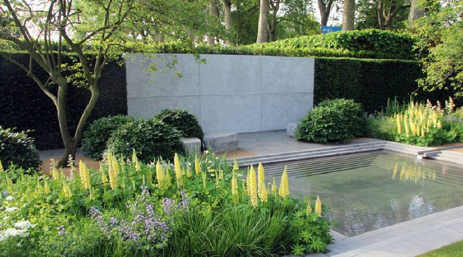 KUROWSCY dekoratyvinių medžių ir krūmų medelynas Lenkijoje 01